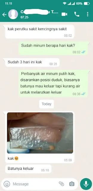 Bukti Chat WA Konsumen Lithozen 2